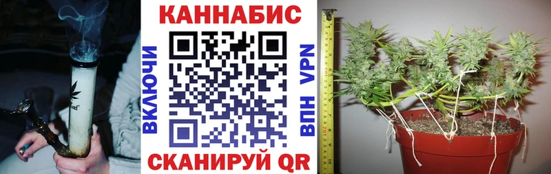 MEGA зеркало Пошехонье Канабис конопля